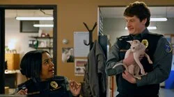 Scaredy Cats and Card Sharks