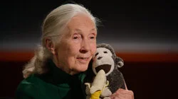 Dr. Jane Goodall