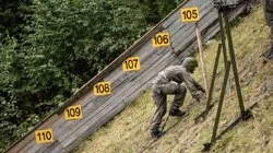 Harehjerte og Øresus