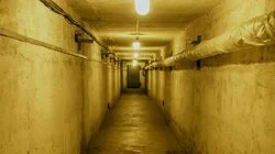 Japan's Poison Island