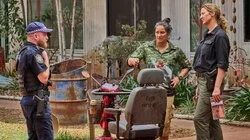 Ladies Day Night Day Night