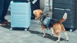 Scales of (In)justice