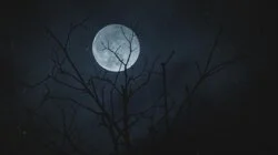 When Darkness Falls
