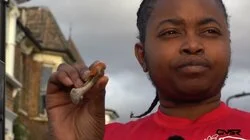 Halal Chicken Hut (Clapton)