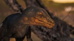 Andy and the Velociraptor