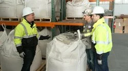 Elemental Crisis | Turning the Ship Around | The Dog Aging Project