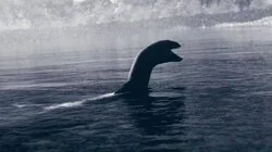 A Wee Little Nessie in Scotland and More