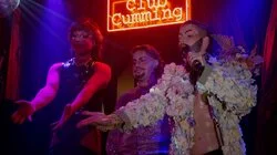 No Kings (Unless They're on a Stage!)