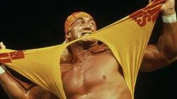 Part II: Hulkamania
