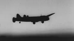 Foo Fighters: WWII Edition