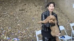 호지남태