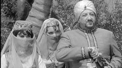 McHale's Floating Harem