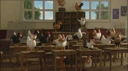 Chickens to School