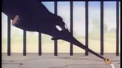 Pitchin' Woo at the Zoo