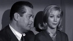 Hazel, the Tryst-Buster