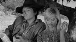 Sweet Billy, Singer of Songs