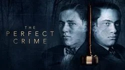The Perfect Crime