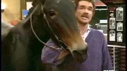 Bring Me the Head of Carl the Mule