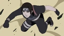 Cursed Seal Counterattack