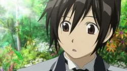 The Gray Wolf Calls to Its Kin