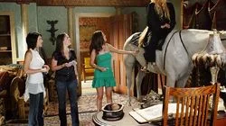 The Bare Witch Project