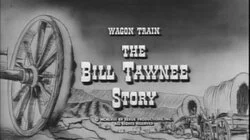 The Bill Tawnee Story