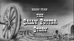 The Sally Potter Story