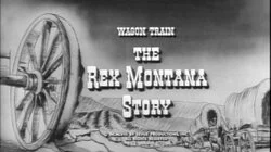 The Rex Montana Story