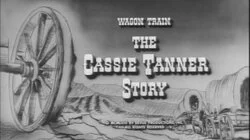 The Cassie Tanner Story