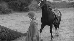 The Mary Ellen Thomas Story