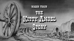 The Kitty Angel Story