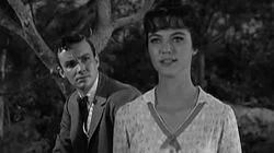 The Tom Tuckett Story