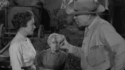 The Christine Elliott Story