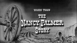 The Nancy Palmer Story