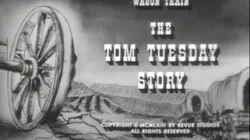 The Tom Tuesday Story