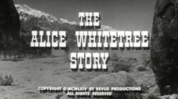 The Alice Whitetree Story