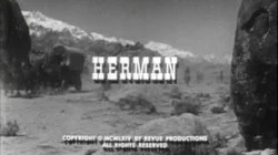 Herman