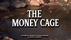 The Money Cage