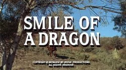 Smile of a Dragon