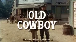 Old Cowboy