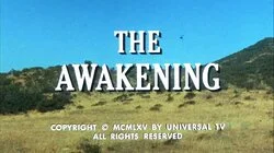 The Awakening