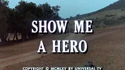 Show Me a Hero