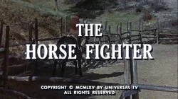 The Horse Fighter