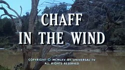 Chaff in the Wind