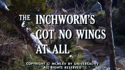 The Inchworm's Got No Wings at All