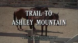 Trail to Ashley Mountain