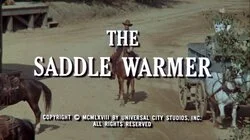 The Saddle Warmer