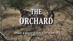 The Orchard