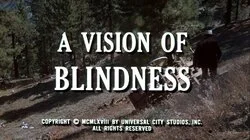 A Vision of Blindness