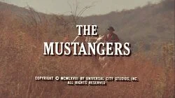 The Mustangers
